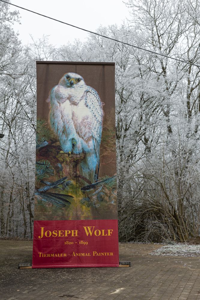 Josef Wolf 2020